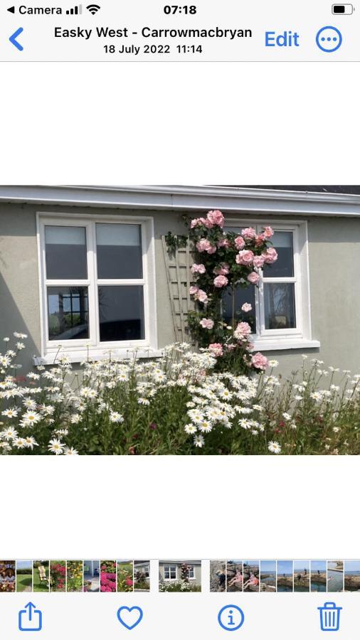 Bed and Breakfast Wild Atlantic View Sligo Exterior foto