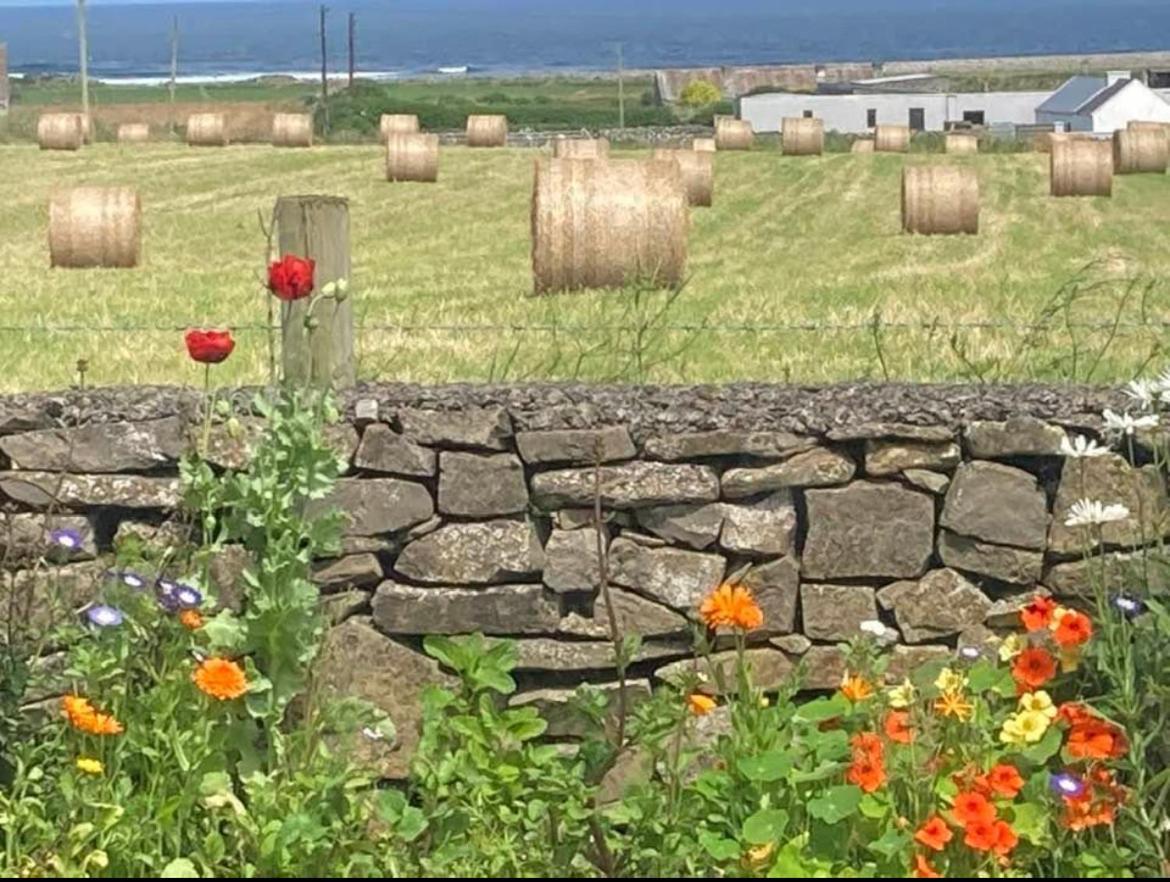 Bed and Breakfast Wild Atlantic View Sligo Exterior foto